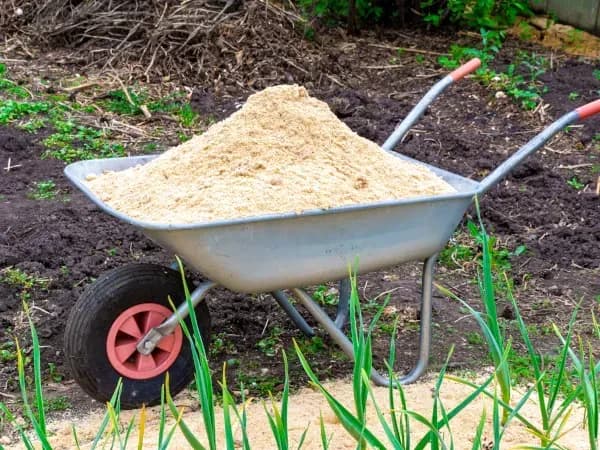 Czy trociny nadają się na kompost? Oto, co musisz wiedzieć